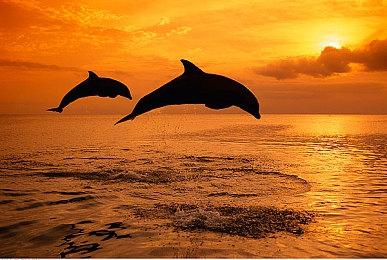 《奇异人生：双重曝光》配置曝光 推荐RTX 2080S